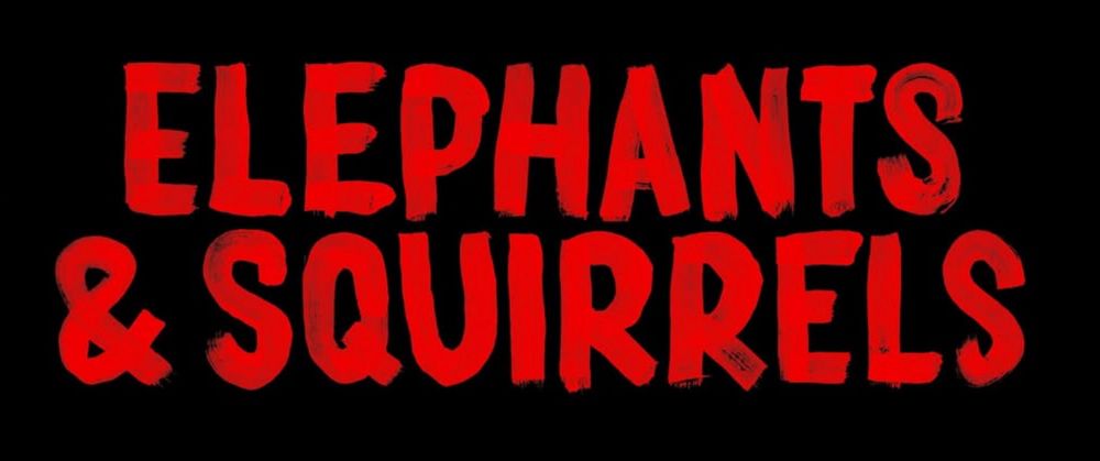 Elephants & Squirrels 